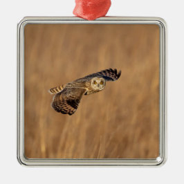 Ornamento De Metal Coruja-de-orelha-curta em voo nos prados