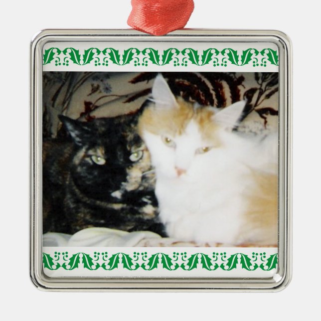 Ornamento De Metal Cozy Foto: Dois Gatos - Borda Holly Verde (Frente)