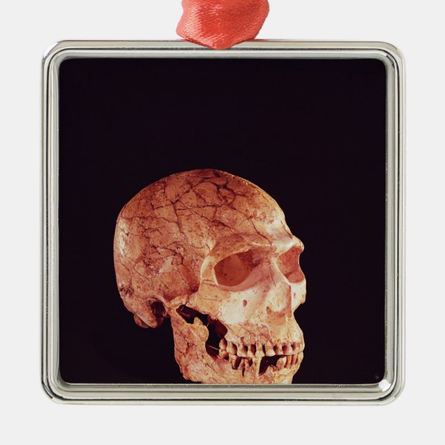 Ornamento De Metal Crânio do Neanderthal, descoberto em Mt Carmel (Frente)