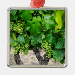Ornamento De Metal Cultivo de Uvas para Vinho, França