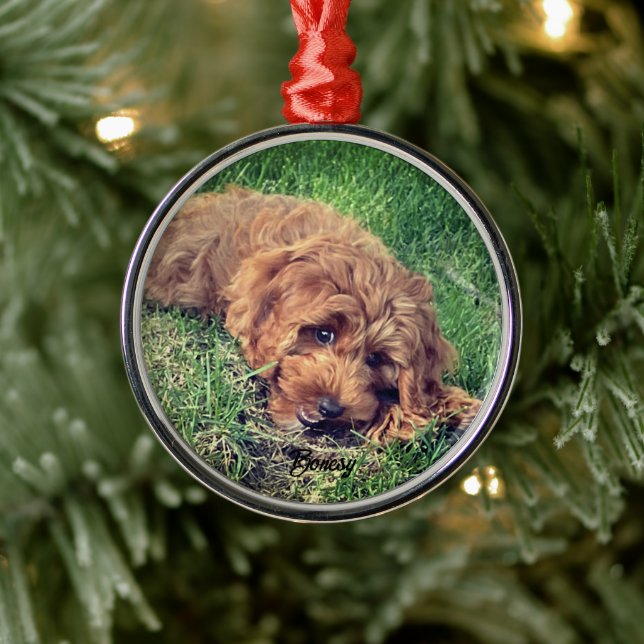 Ornamento De Metal Cute Golden Doodle Premium (Árvore)