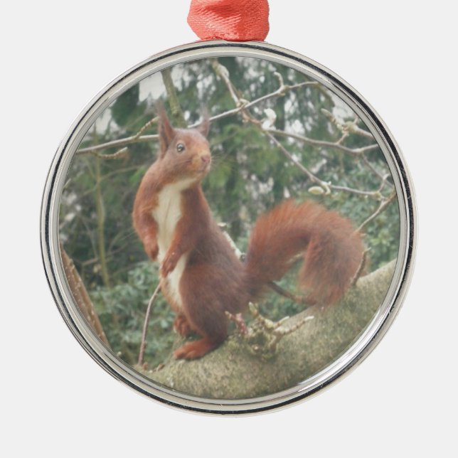 Ornamento De Metal Cute Standing Squirrel Metal Ornament (Frente)