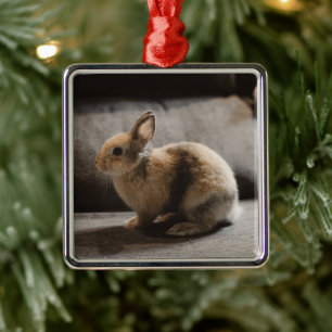 Ornamento De Metal Cutest Baby Animals Netherland Dwarf Rabbit