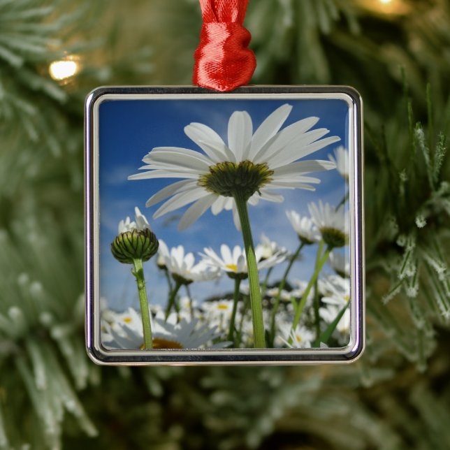 Ornamento De Metal Daisies Reaching for the Sky (Árvore)