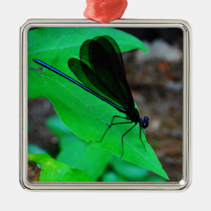Ornamento De Metal Damselfly azul em uma folha verde.