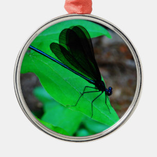 Ornamento De Metal Damselfly azul em uma folha verde.