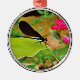 Ornamento De Metal Damselfly e Rosa