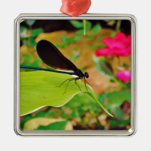 Ornamento De Metal Damselfly e Rosa