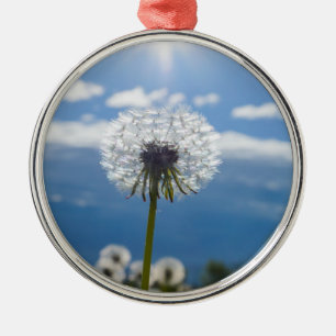 Ornamento De Metal Dandelion Na Luz