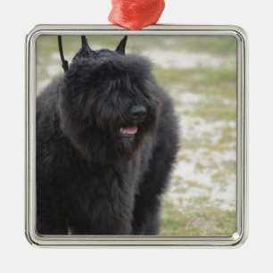 Ornamento De Metal DES Flanders de Bouviers