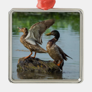 Ornamento De Metal Desculpe-me