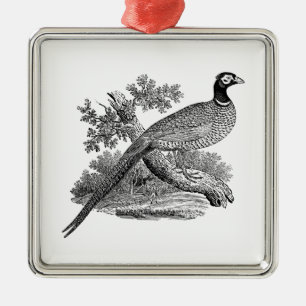 Ornamento De Metal Desenho em preto e branco de faisão vintage ave de