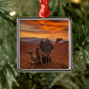 Ornamento De Metal Desertos Bactrian Camel Egypt Sand Dune