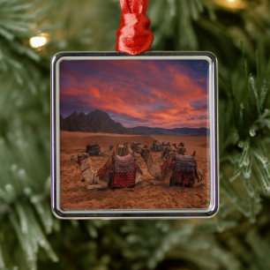 Ornamento De Metal Desertos   Camels Sinai Mounts Egito