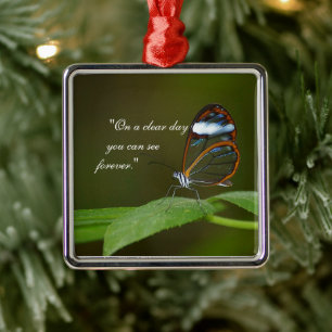 Ornamento De Metal "Design da borboleta de Glasswing de um dia claro"