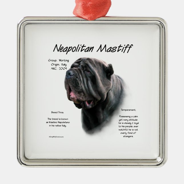 Ornamento De Metal Design de História do Mastiff napolitano (preto) (Frente)