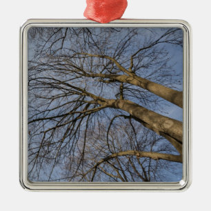 Ornamento De Metal design/padrão do tronco de árvore. Pioineer Park