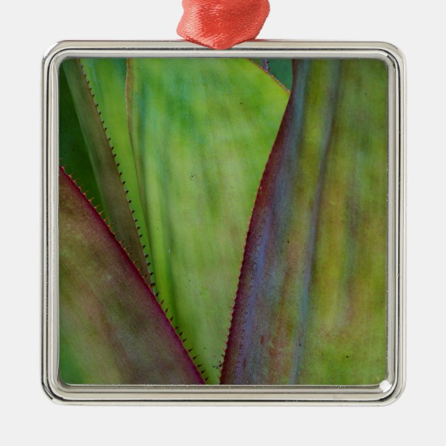 Ornamento De Metal Detalhe da Planta Agave (Frente)