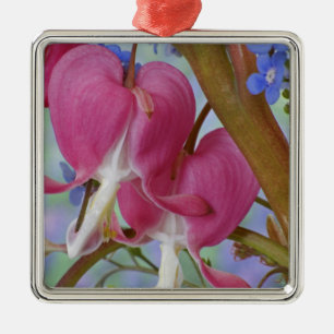 Ornamento De Metal Detalhe de bleeding hearts e Brunnera Jack