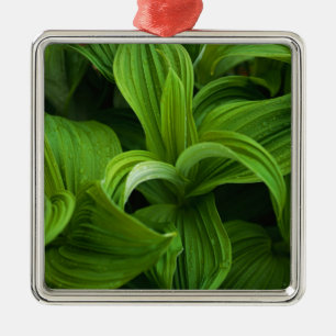 Ornamento De Metal Dewdrops em um Helabore falso