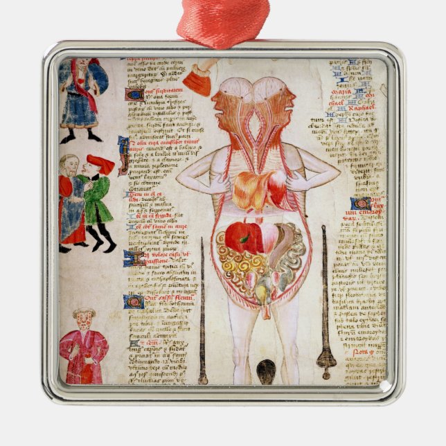 Ornamento De Metal Diagrama anatômico (Frente)