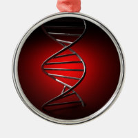 DNA Double Helix