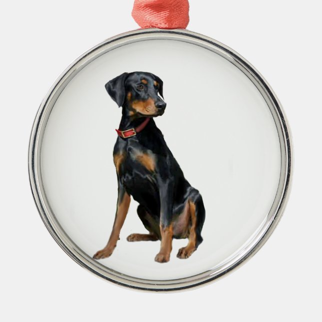Ornamento De Metal Doberman Pinscher (natural) (Frente)