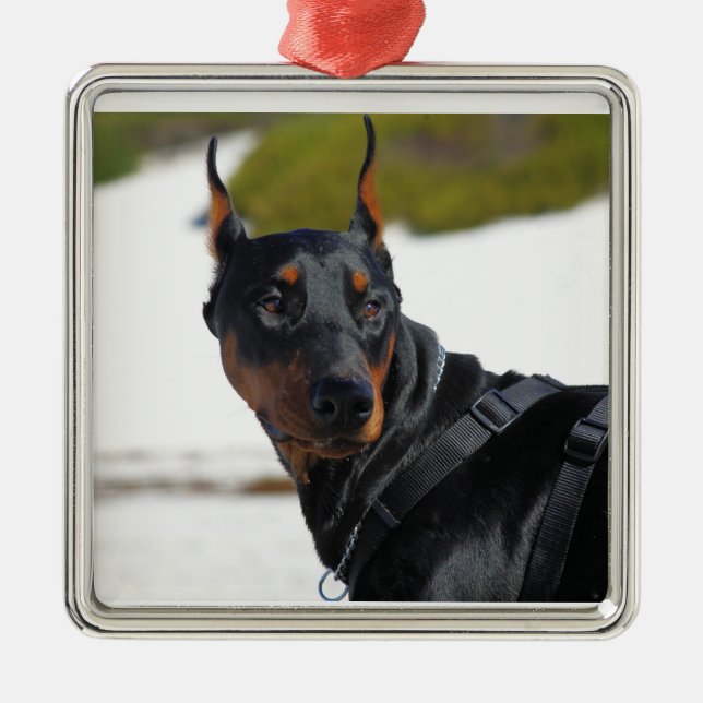 Ornamento De Metal Doberman - Preto - Bogie (Frente)