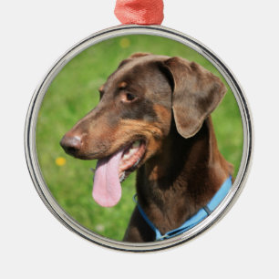 Ornamento De Metal Doberman vermelho
