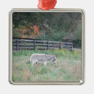 Ornamento De Metal Donkey em um Campo de outono.