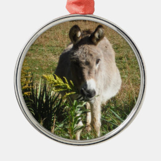 Ornamento De Metal Donkey Picting Yellow Autumn Wildflower