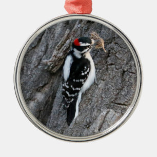 Ornamento De Metal Downey Woodpecker