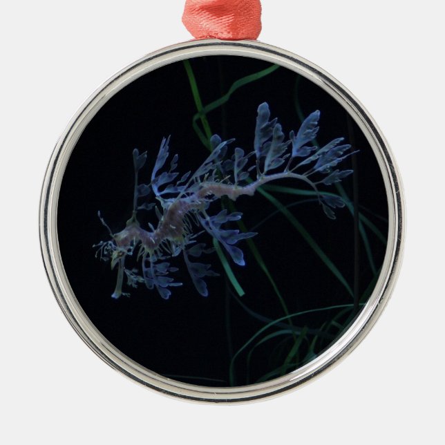 Ornamento De Metal Dragão do mar (Frente)