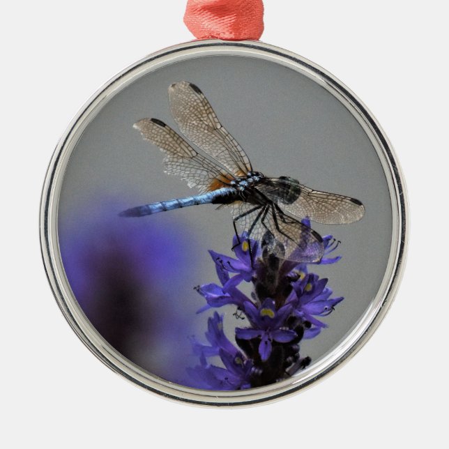 Ornamento De Metal Dragonfly (Frente)