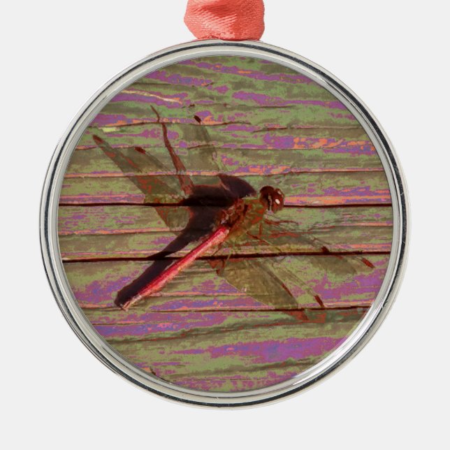 Ornamento De Metal Dragonfly Colorful (Frente)
