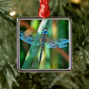 Ornamento De Metal Dragonfly Fantasia em Turquesa e Negro