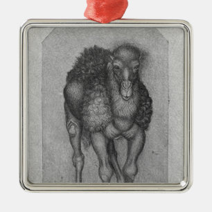 Ornamento De Metal Dromedary, o do álbum de Vallardi