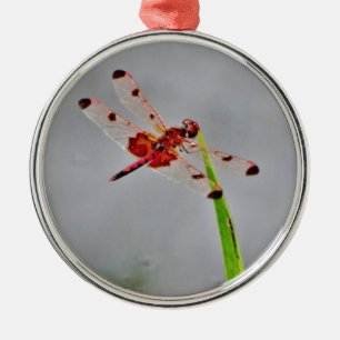 ORNAMENTO DE METAL DSC00029.JPG