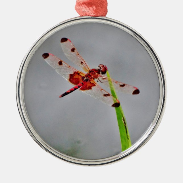 ORNAMENTO DE METAL DSC00029.JPG (Frente)