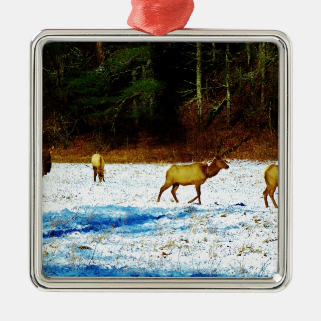 ORNAMENTO DE METAL DSC00131.JPG (Frente)