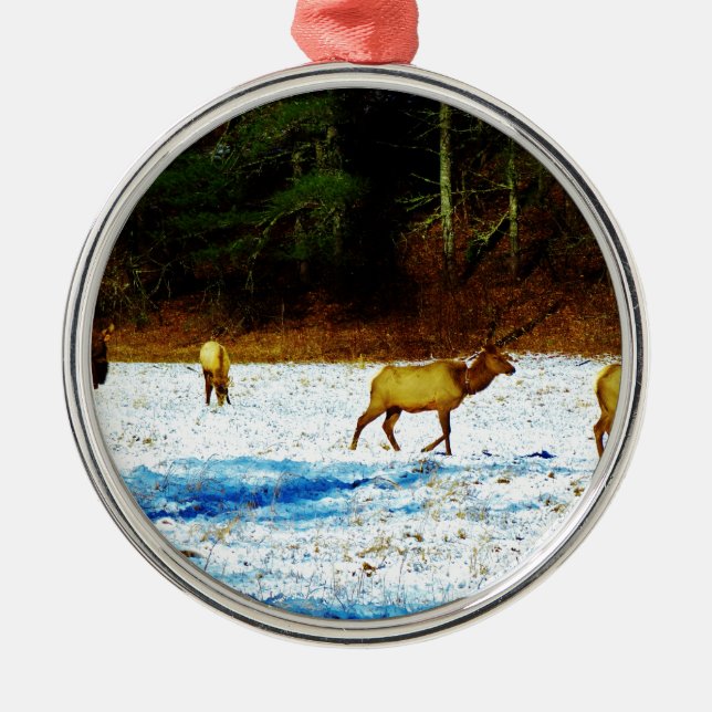 ORNAMENTO DE METAL DSC00131.JPG (Frente)