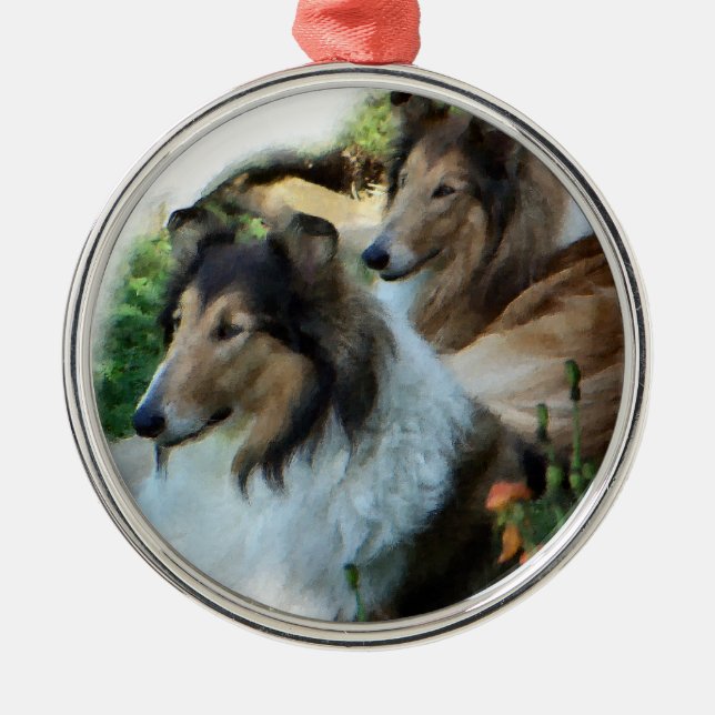 Ornamento De Metal Duas Collies Sable Rough (Frente)