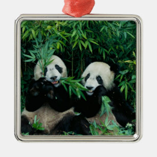 Ornamento De Metal Duas pandas que comem o bambu junto, Wolong, 2