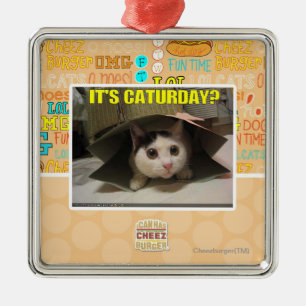 Ornamento De Metal É Caturday?