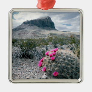 Ornamento De Metal E.U.A., Texas, Parque Nacional Big Bend. Florindo