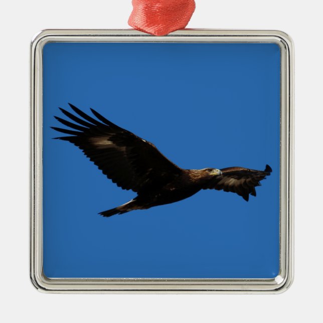 Ornamento De Metal Eagle dourado (Frente)