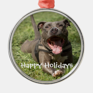 Ornamento De Metal Editable Brown Pitbull In Grass
