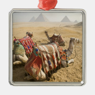 Ornamento De Metal Egito, Cairo. Camelos descansando