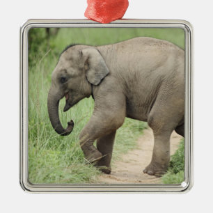 Ornamento De Metal Elefante bebê seguindo a mãe, Corbett