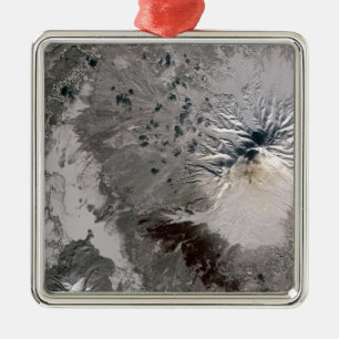 Ornamento De Metal Elevações ricas de uma pena da cinza